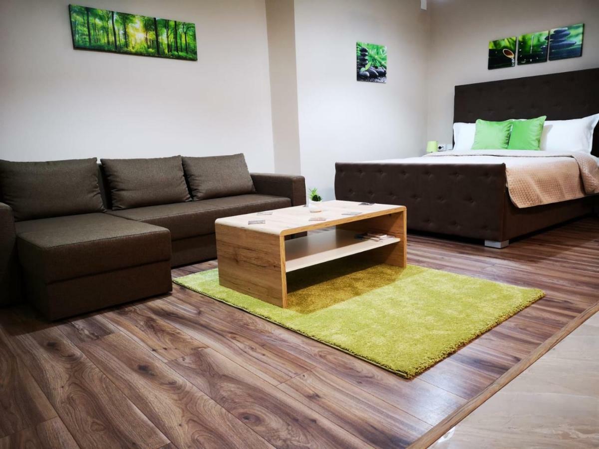 Irina Apartments Temešvár Exteriér fotografie
