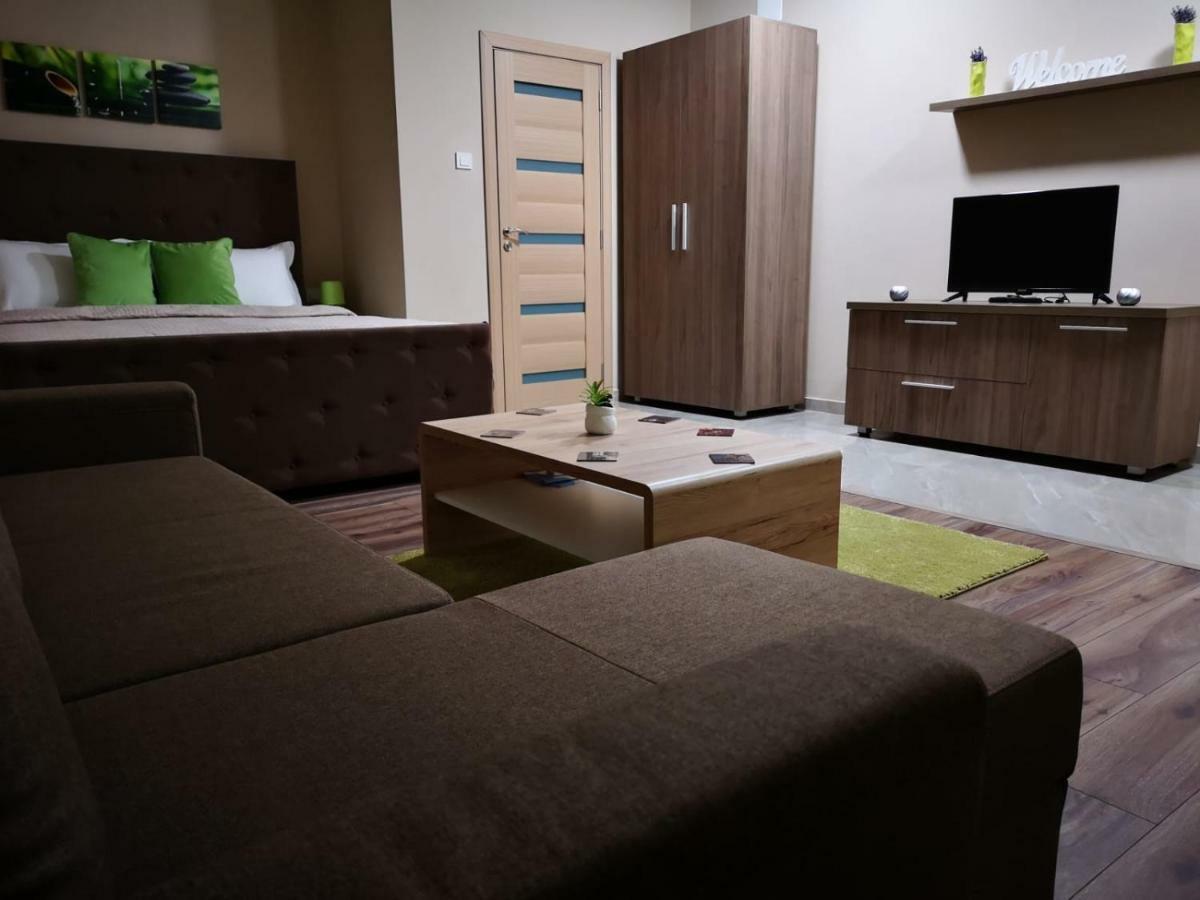 Irina Apartments Temešvár Exteriér fotografie