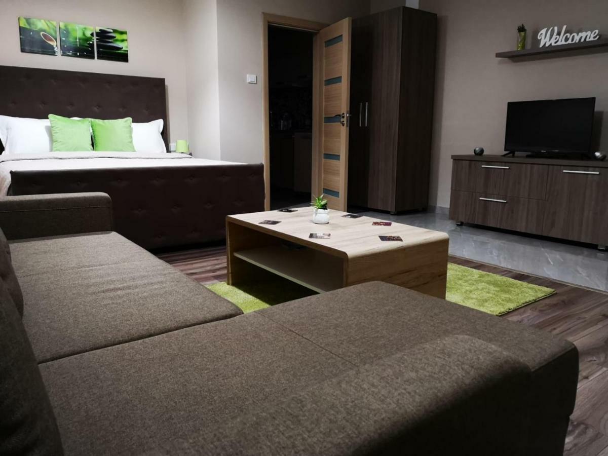 Irina Apartments Temešvár Exteriér fotografie