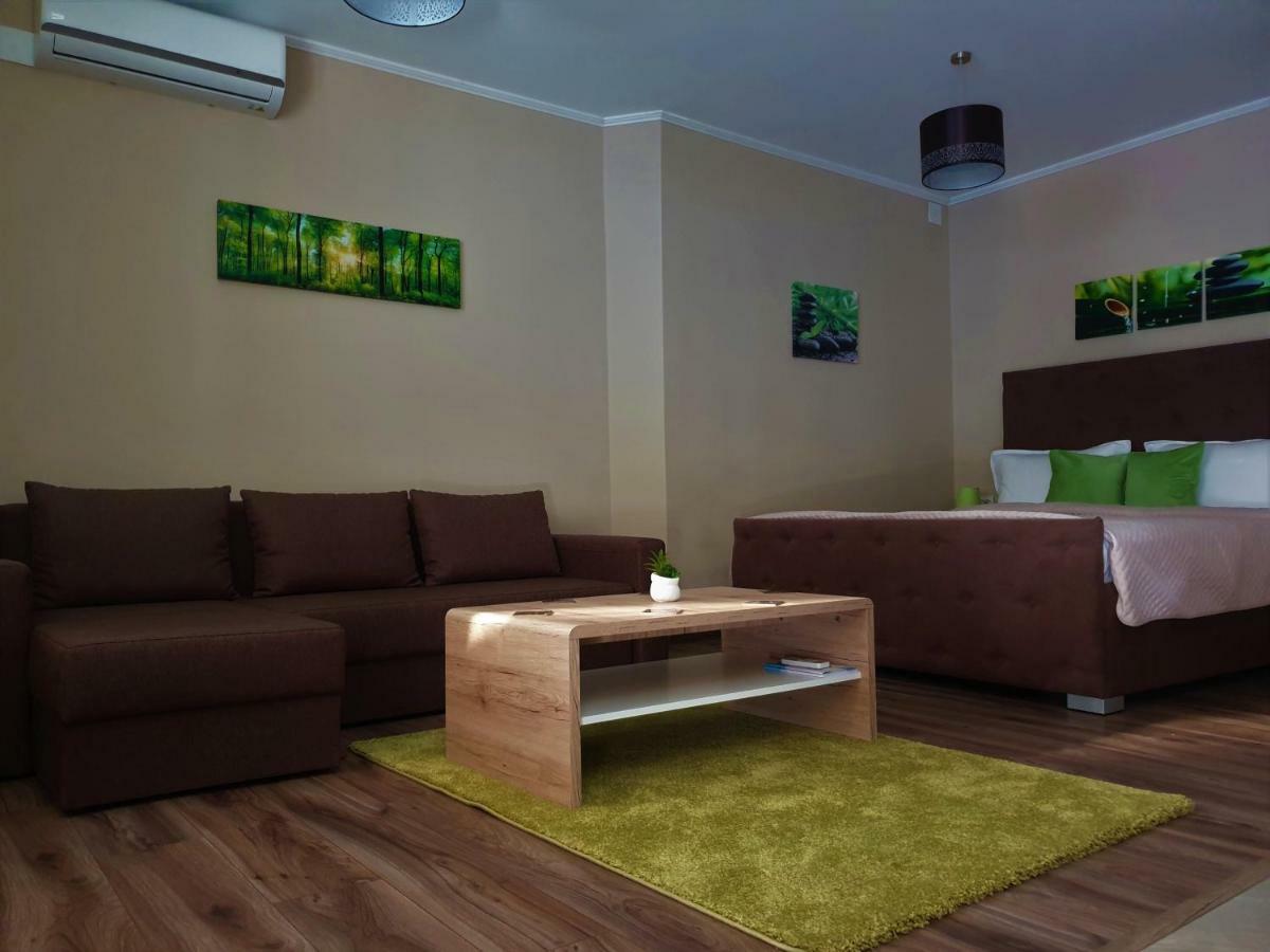 Irina Apartments Temešvár Exteriér fotografie